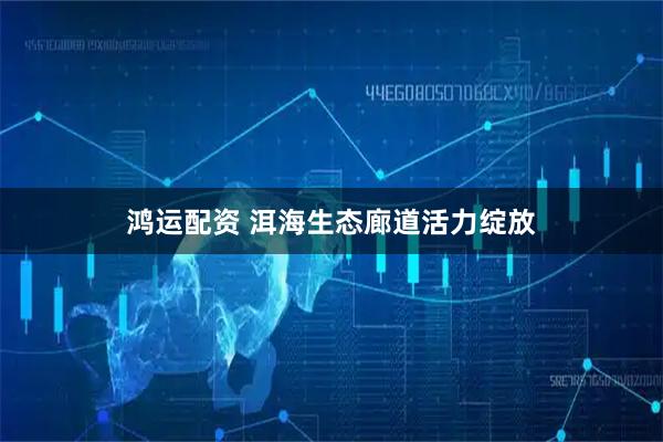 鸿运配资 洱海生态廊道活力绽放