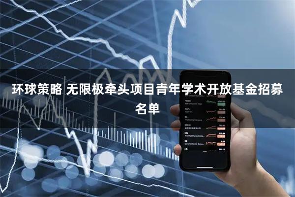 环球策略 无限极牵头项目青年学术开放基金招募名单